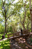 2013 Sedona