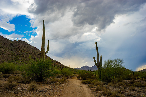 San Tan Regional Park-67-2