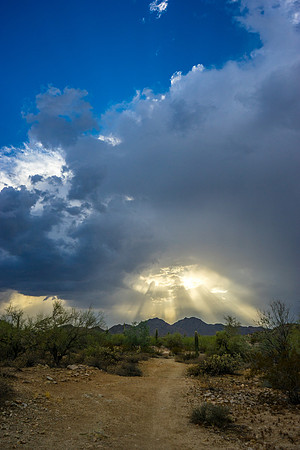 San Tan Regional Park-113-2