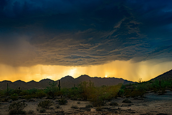 San Tan Regional Park-385