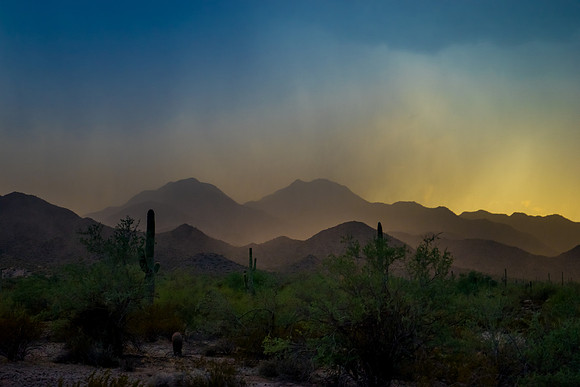 San Tan Regional Park-454