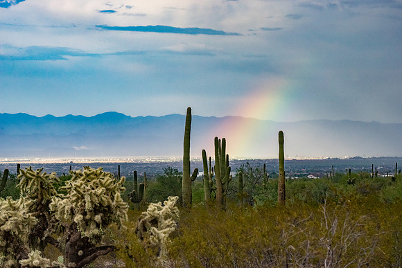 San Tan Regional Park-1-2
