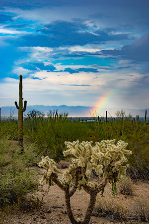 San Tan Regional Park-16-2