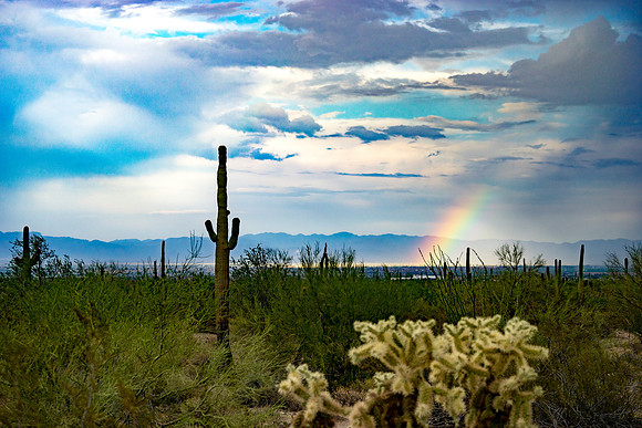 San Tan Regional Park-22-2
