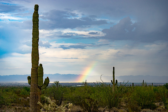 San Tan Regional Park-25-2