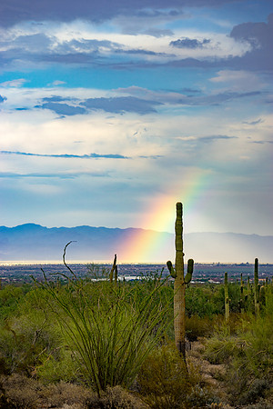 San Tan Regional Park-27-2