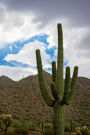 San Tan Regional Park-33-2
