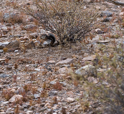 San Tan Regional Park-125-2