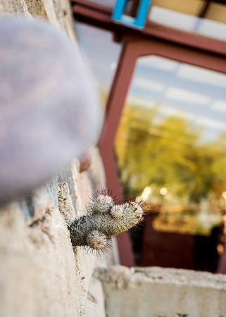 Taliesin West-98