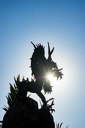 Taliesin West-340