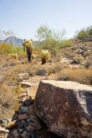 Taliesin West-956