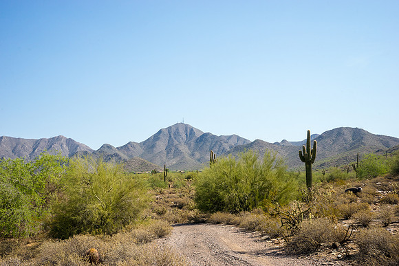Taliesin West-965