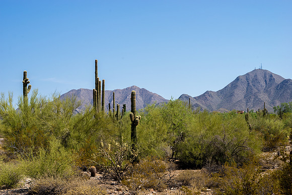 Taliesin West-1041