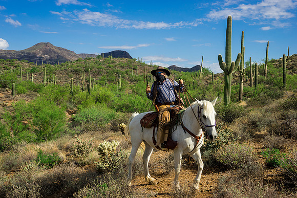 Spur Cross Stables-3-27