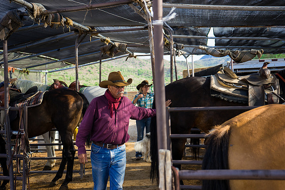 Spur Cross Stables-3-6