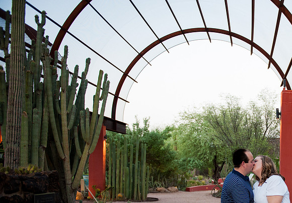 Desert Botanical Gardens