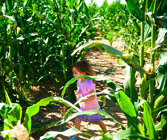 Schnepf Farms