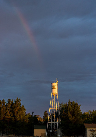 Schnepf Farms