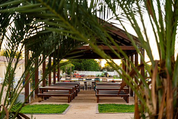 2026-5 Discover Gilbert Heritage District-8482