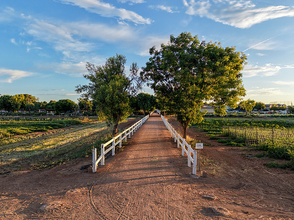 2026-5 Discover Gilbert--54