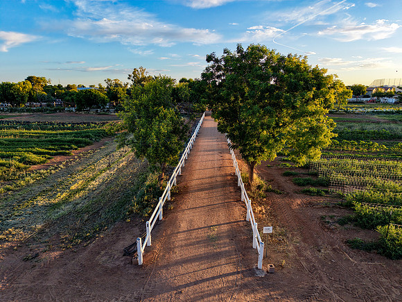 2026-5 Discover Gilbert--53