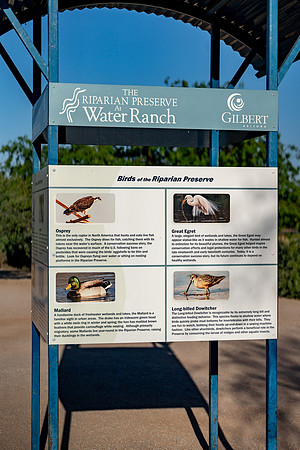 Discover Gilbert-4295