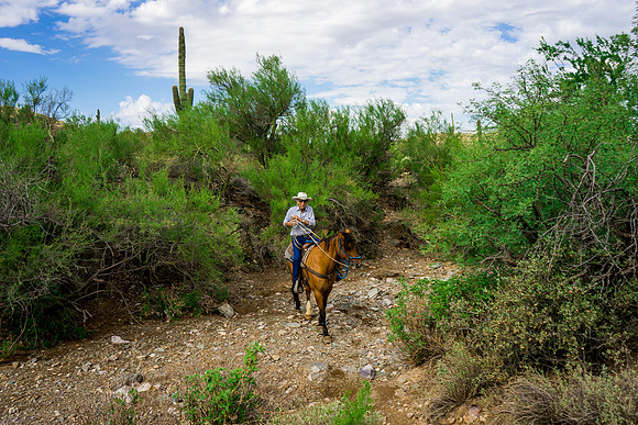 Spur Cross Stables-3-90
