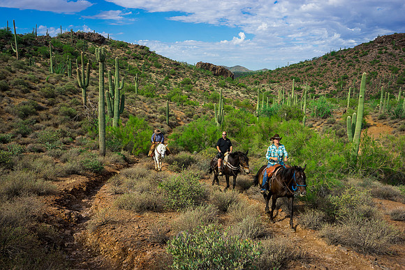 Spur Cross Stables-3-48
