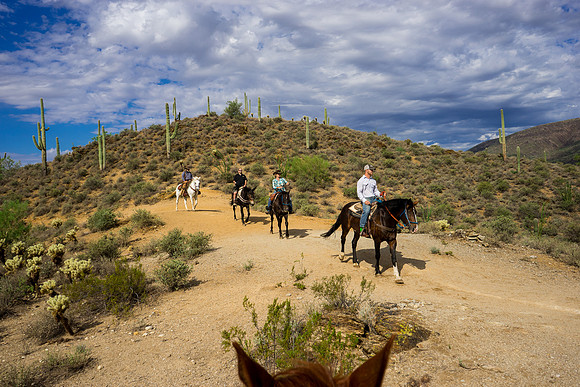 Spur Cross Stables-3-66