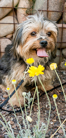 2013-4_FoskettCreative.com-816