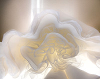 FoskettCreative2014-10-111