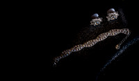 FoskettCreative2014-10-33