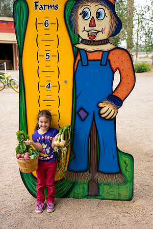 Schnepf Farms