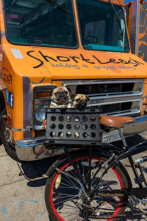 Short Leash, Sit...Stay-667