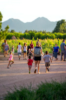Schnepf Farms
