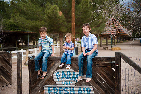 Schnepf Farms
