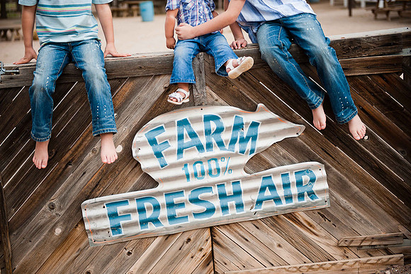 Schnepf Farms