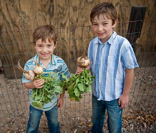 Schnepf Farms