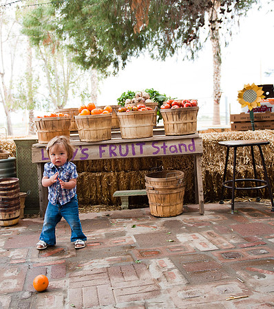 Schnepf Farms