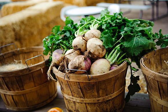 Schnepf Farms