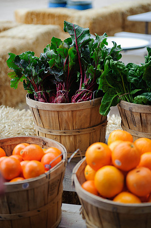 Schnepf Farms