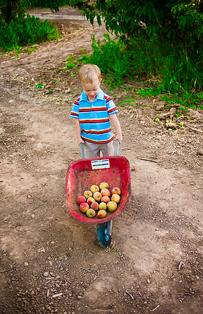 Schnepf Farms