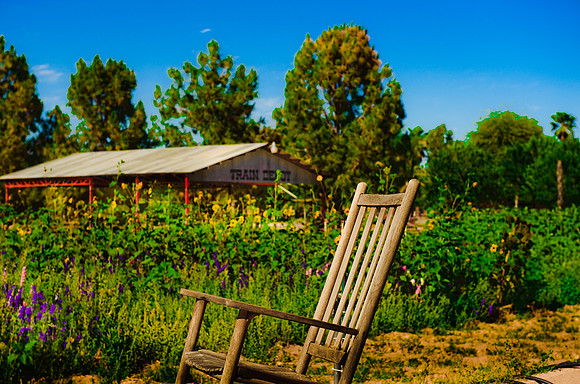 Schnepf Farms