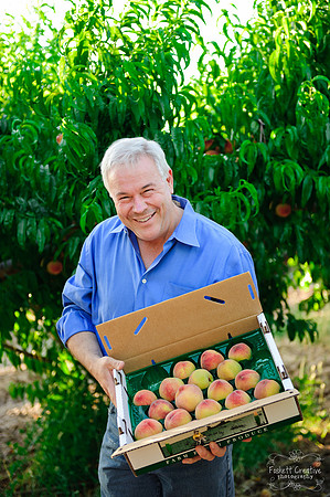 Schnepf Farms