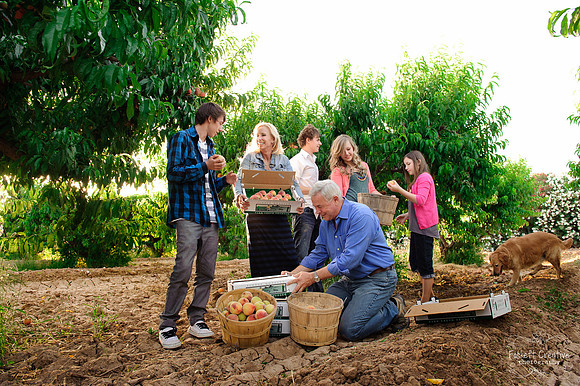 Schnepf Farms
