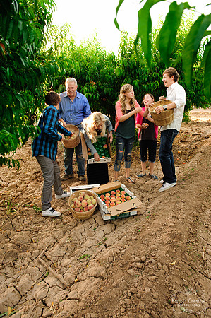 Schnepf Farms