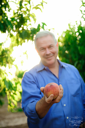 Schnepf Farms