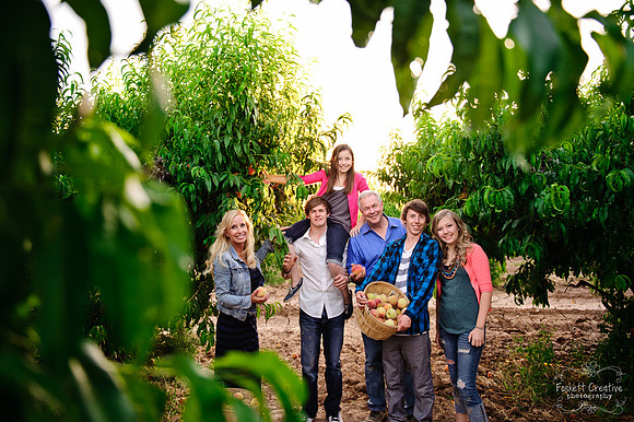 Schnepf Farms