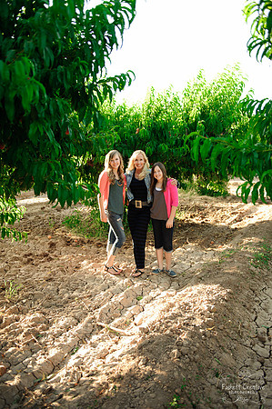 Schnepf Farms