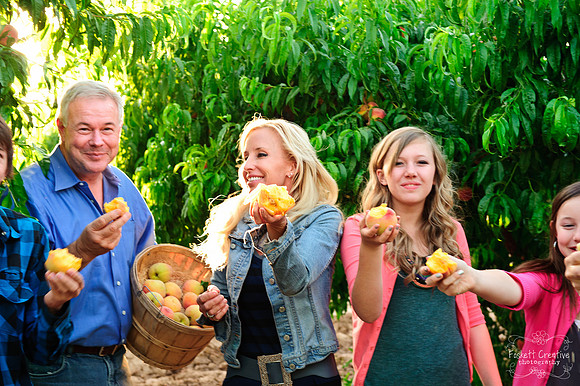 Schnepf Farms